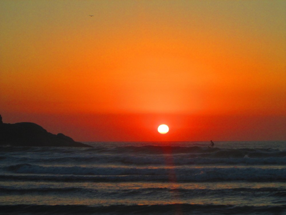 Photo #4577464