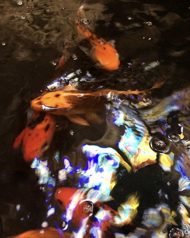 Photograph by Петрова Ольга