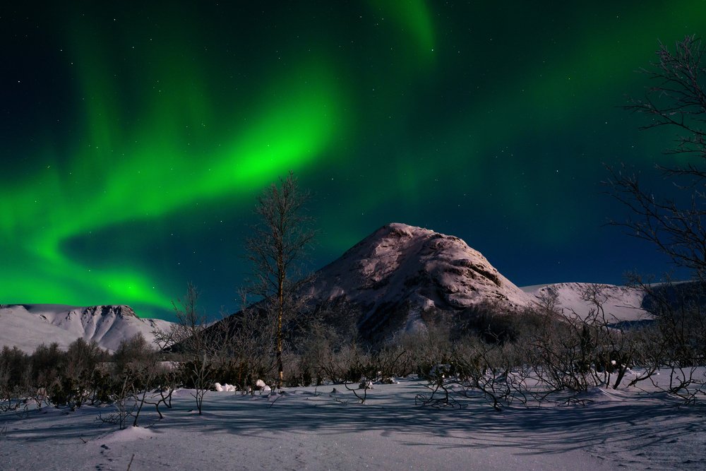 Photograph by Юлия Шестопалова