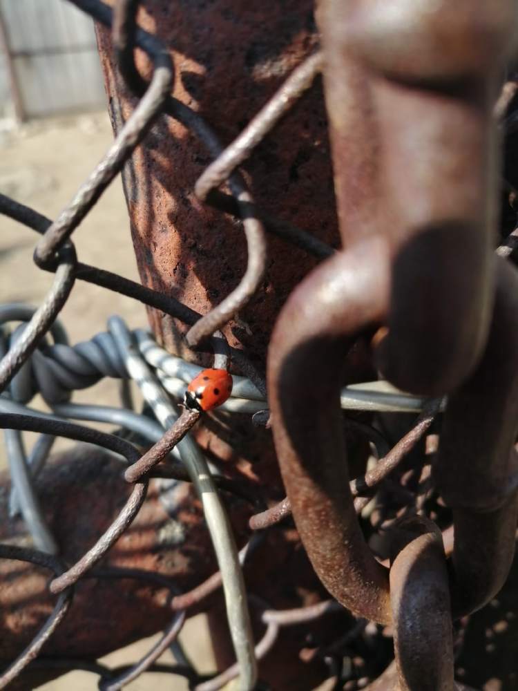 Photograph by Екатерина Бакулина