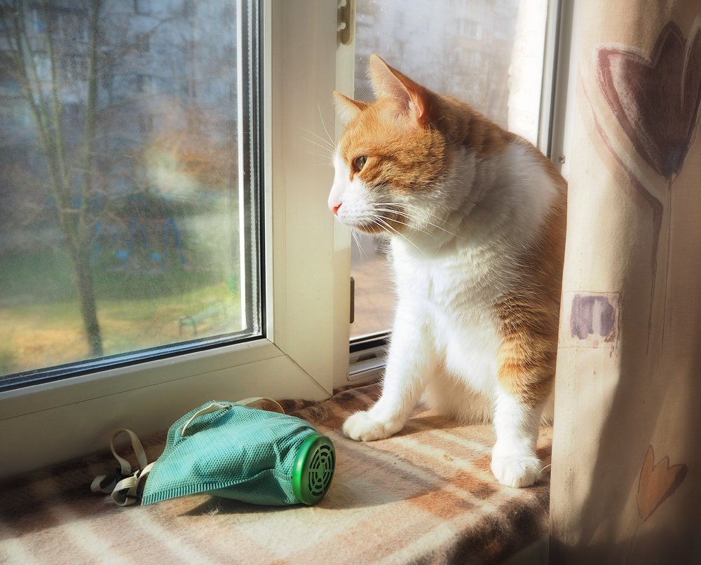 А за окном - весна...