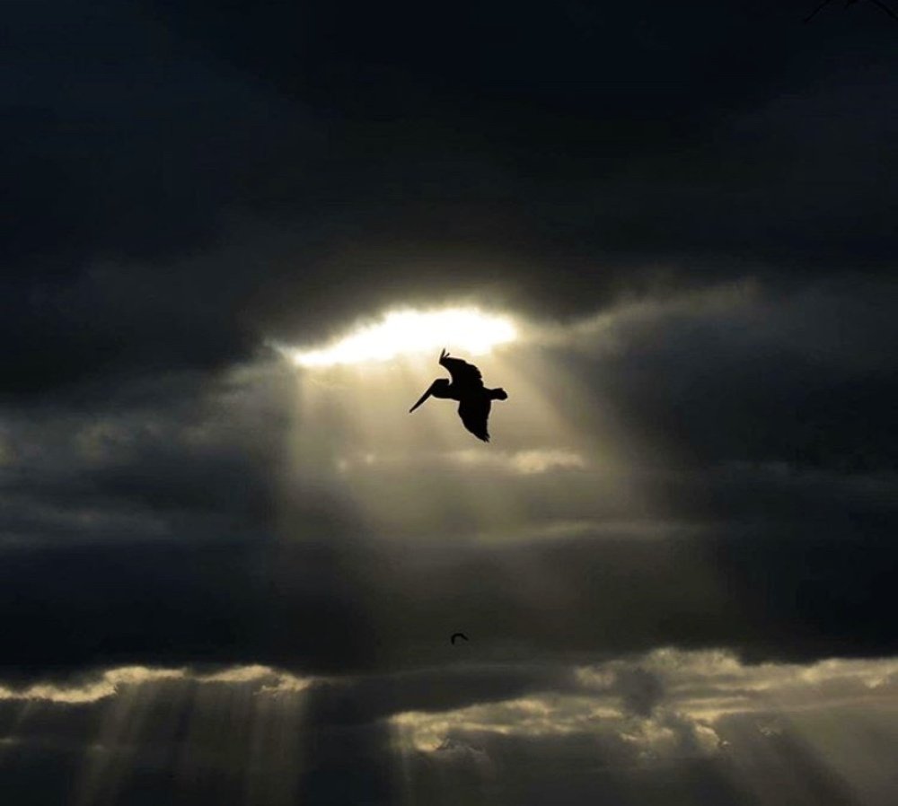 Photograph by Stéphanie Richer