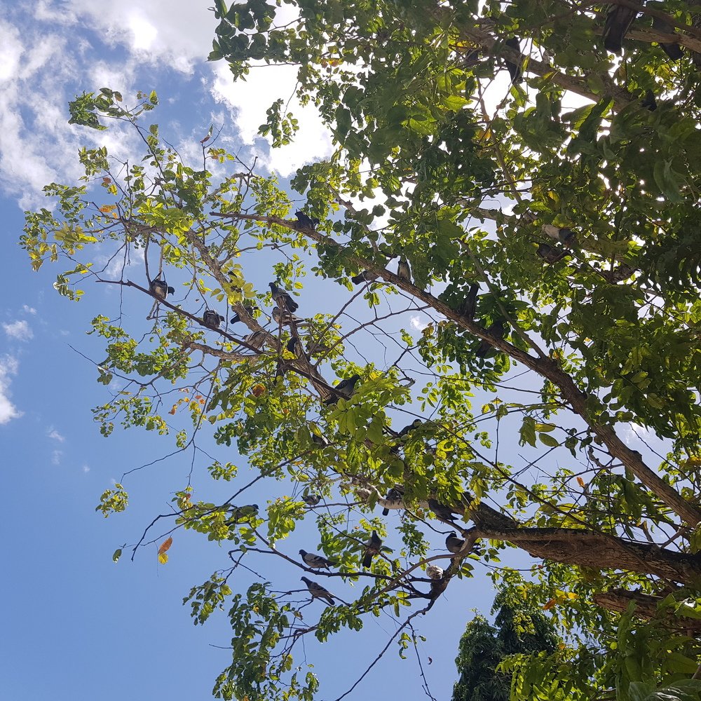 Photograph by Venice Abarado