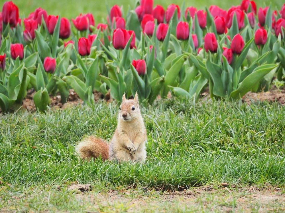 Photograph by Ahmet GULER