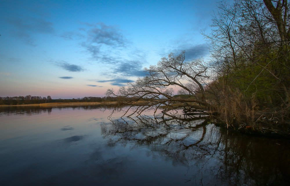 Photograph by Алексей Доценко