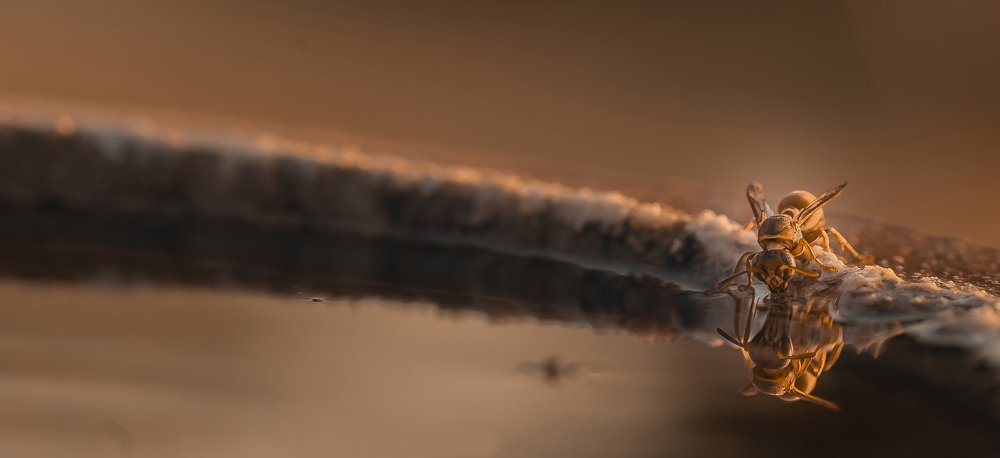 Photograph by S GURURAJ