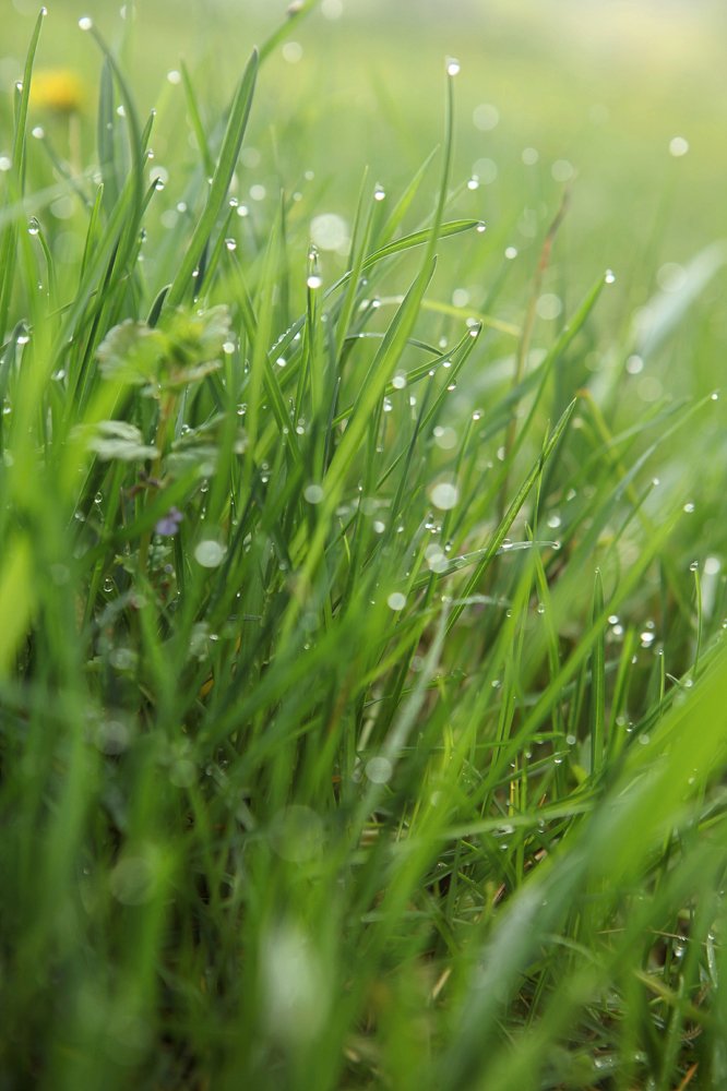 Фотография автора Юлия Капустинская