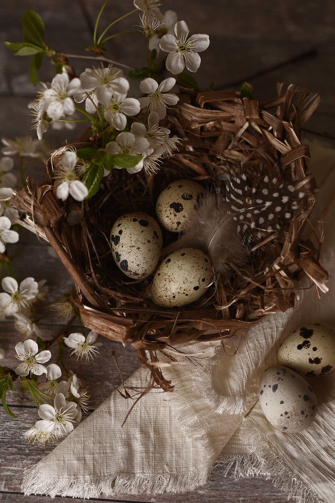 Photograph by Алена Нечипоренко