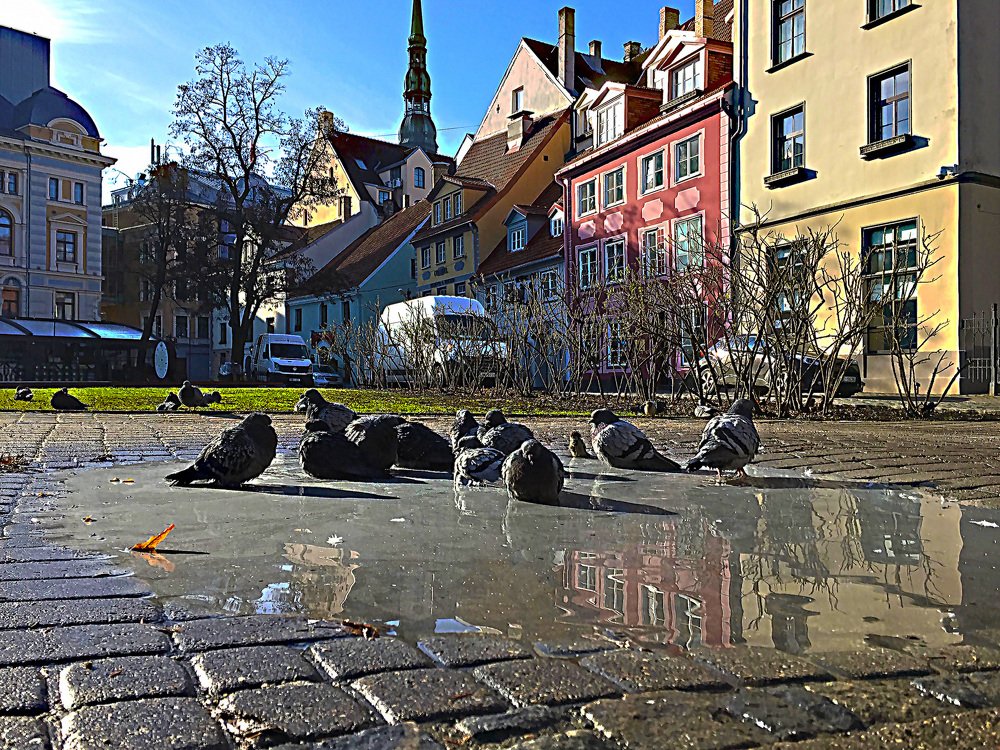 Photograph by Виталий Сеславинский