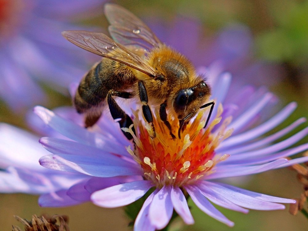 Photograph by Алексей