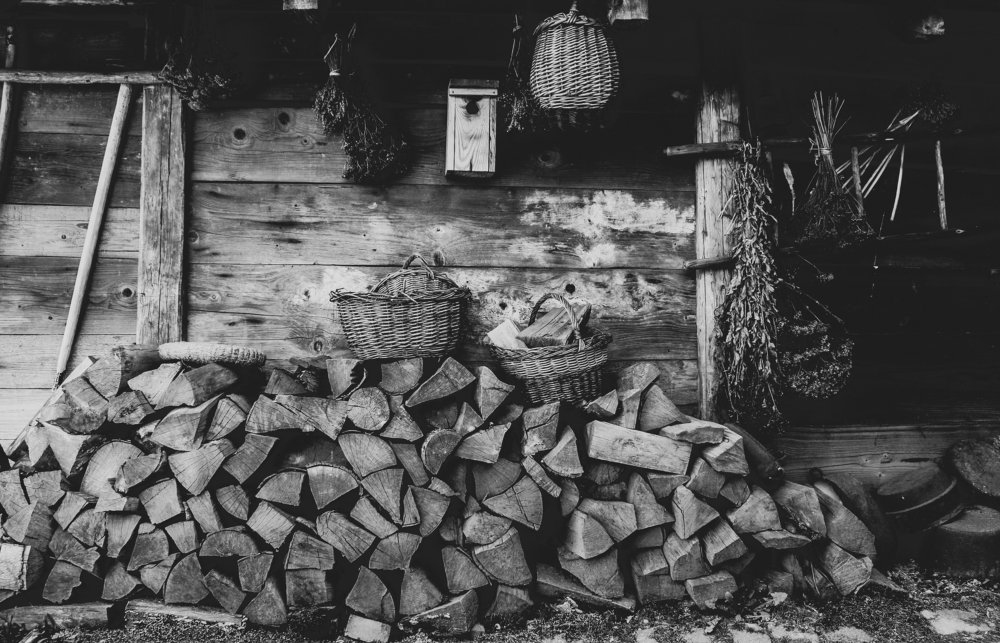 Photograph by Anna Lisovskaia