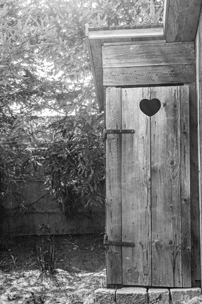 Photograph by Anna Lisovskaia