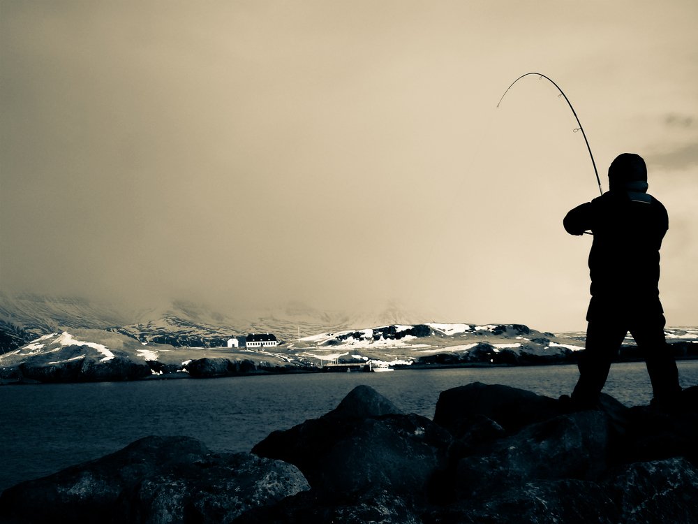 Photograph by Anna Lisovskaia