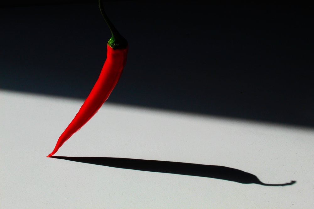 Photograph by Anna Lisovskaia
