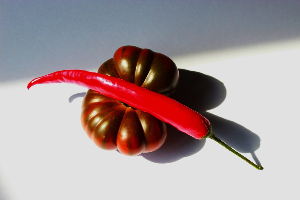 Photograph by Anna Lisovskaia