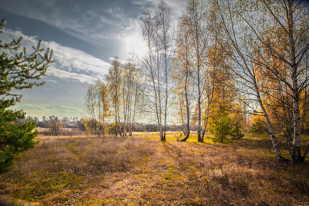 Осень на крыльях спешит.