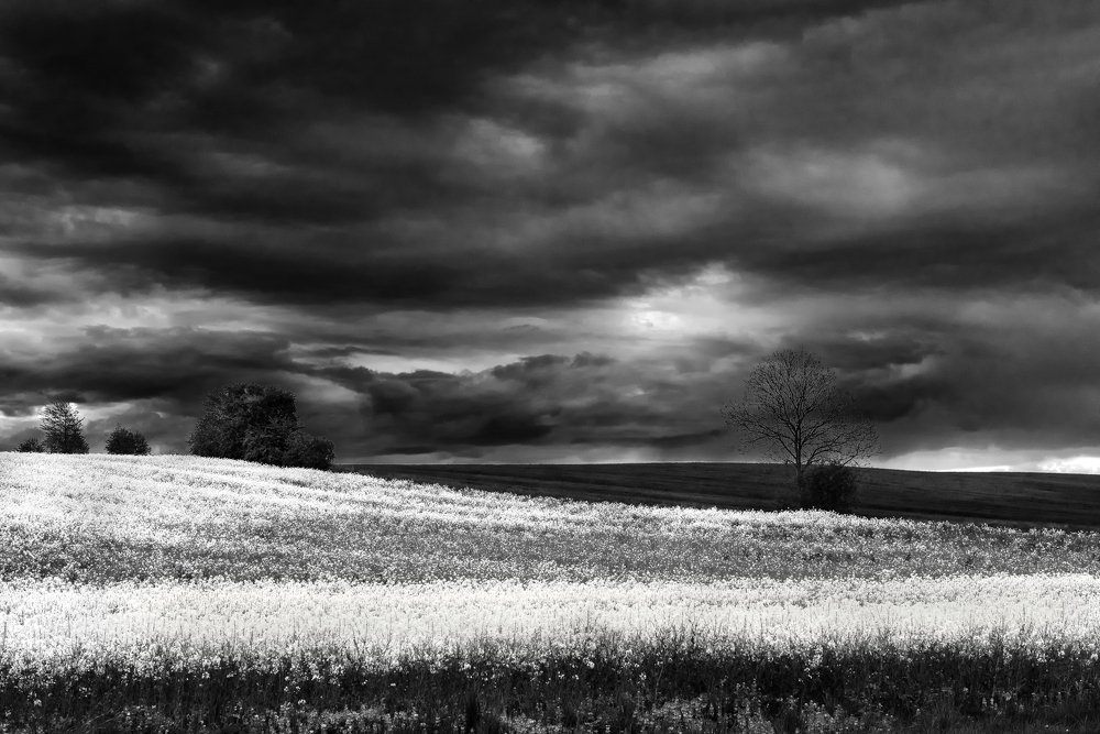 Photograph by Константин Костин