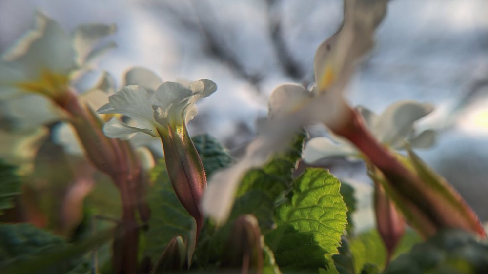 Photograph by OLGA