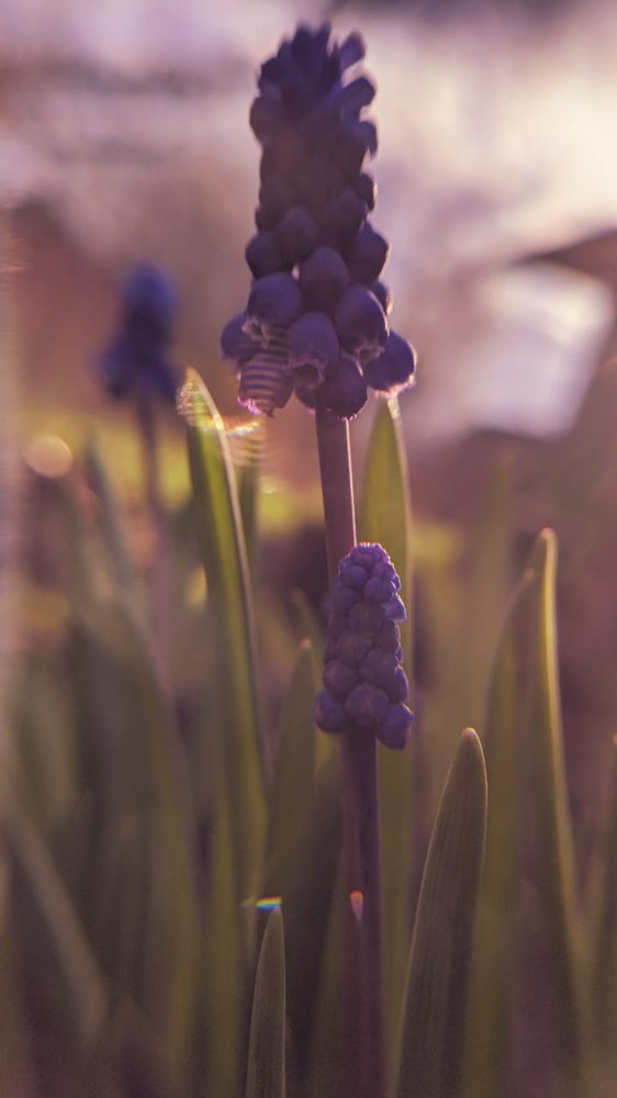 Photograph by OLGA