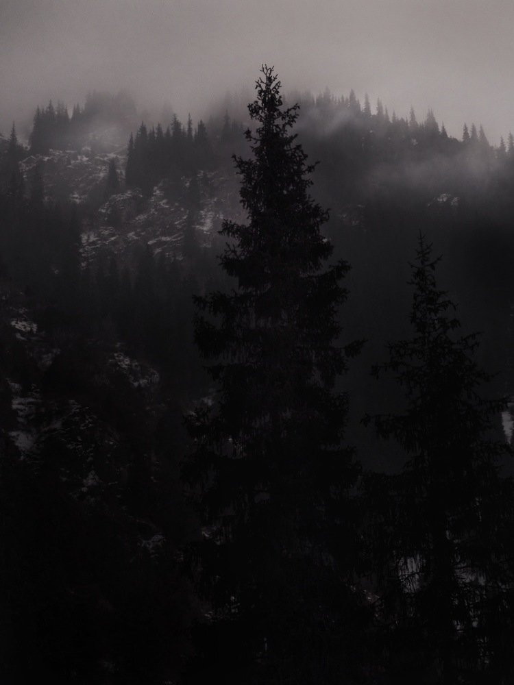 Photograph by Фархад Асадов
