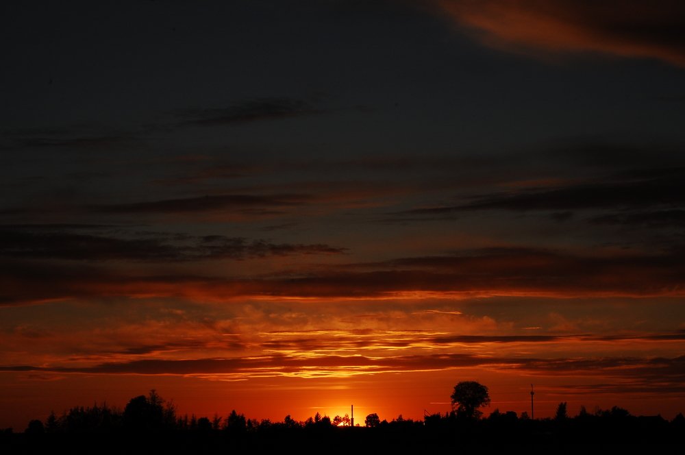 Фотография автора NIghtdream