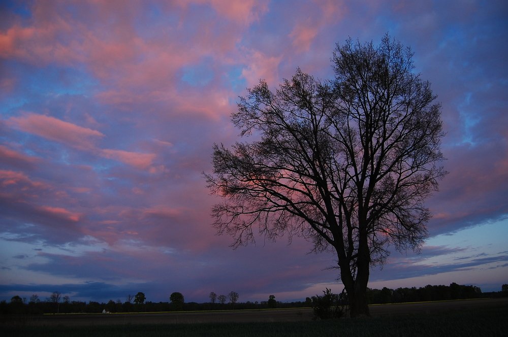 Фотография автора NIghtdream