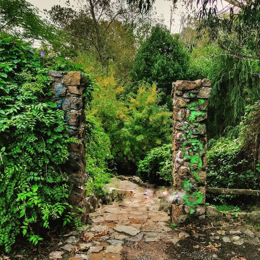 Photograph by Rosy Grass