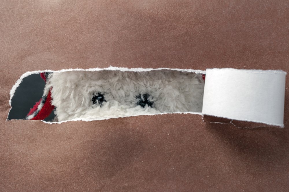 Photograph by Aliaksei Shandalin