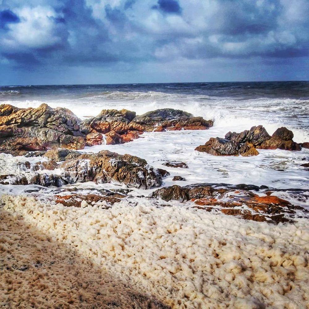 Photograph by Rosy Grass