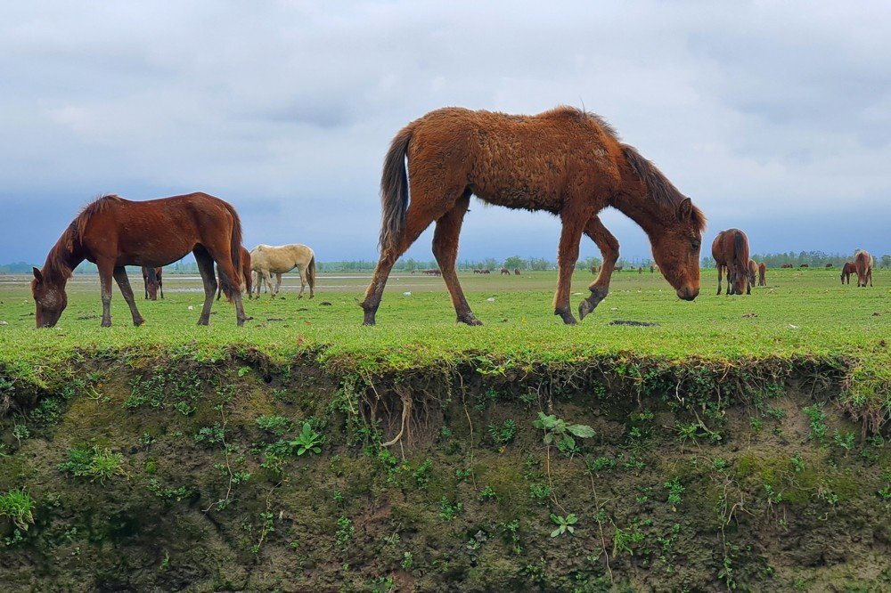 Photograph by Paria Tofangsaz