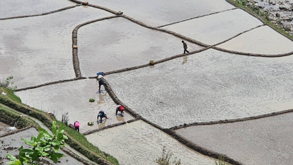 Photograph by Paria Tofangsaz