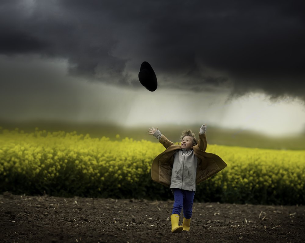 "fields of life - emotions of colors"