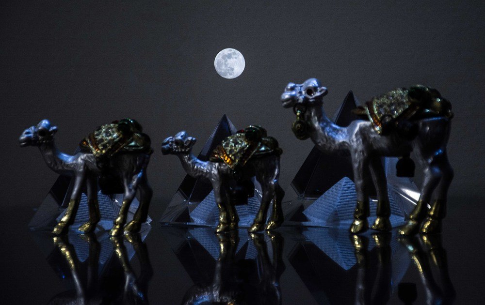 Photograph by islam elsayed eldaramlly