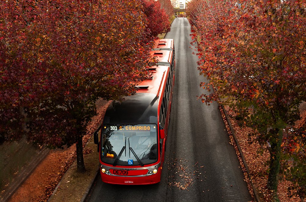 Photograph by Viviane Bachega