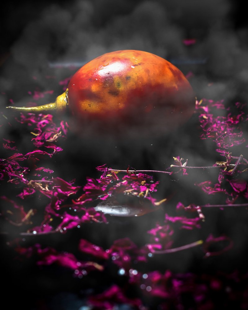 Photograph by Pedro Javier Pilamunga Rueda