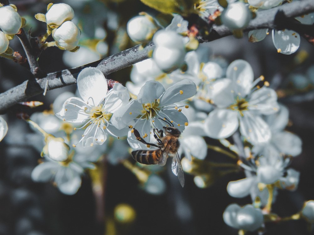 Photograph by Aлександра Зрелова