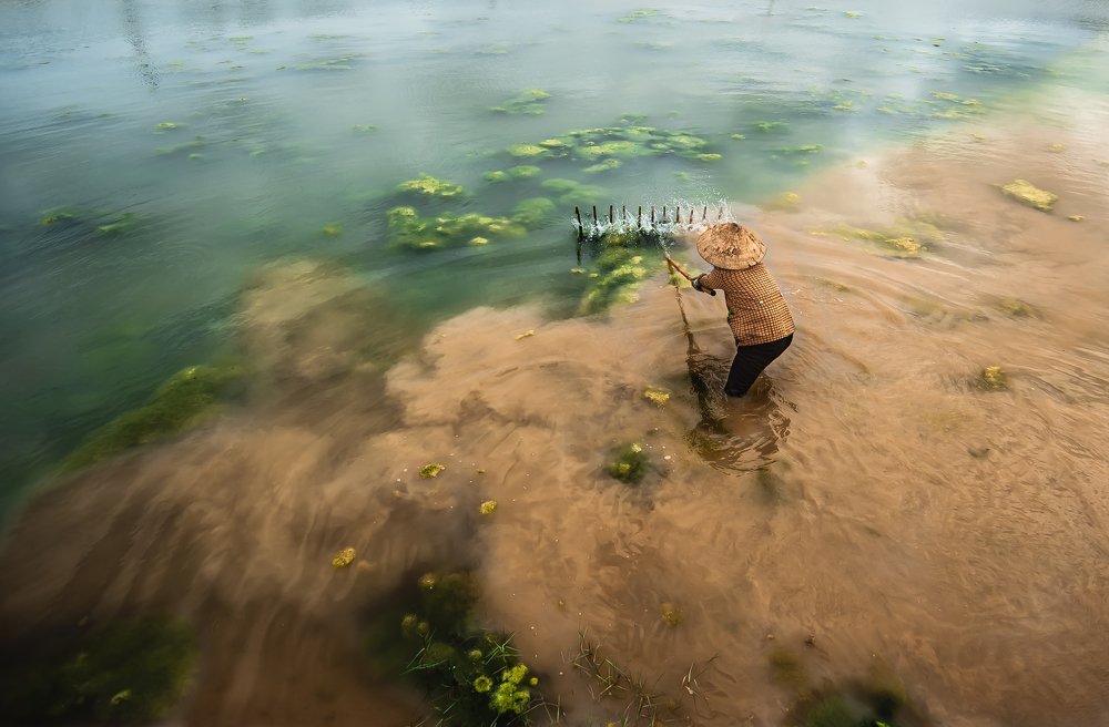 Photograph by Nguyễn Tấn