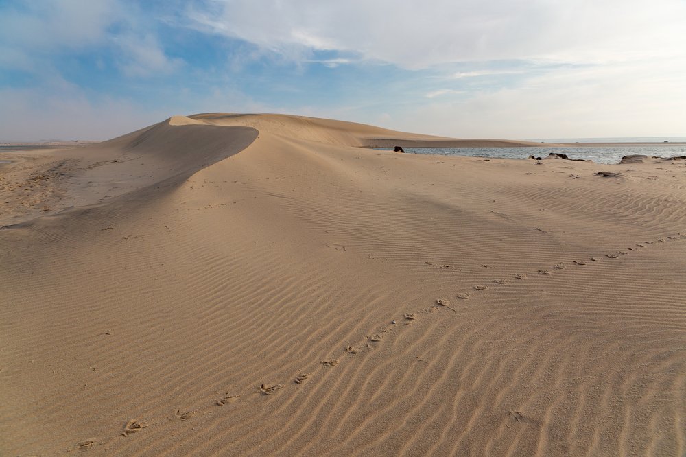 Photograph by Sergey