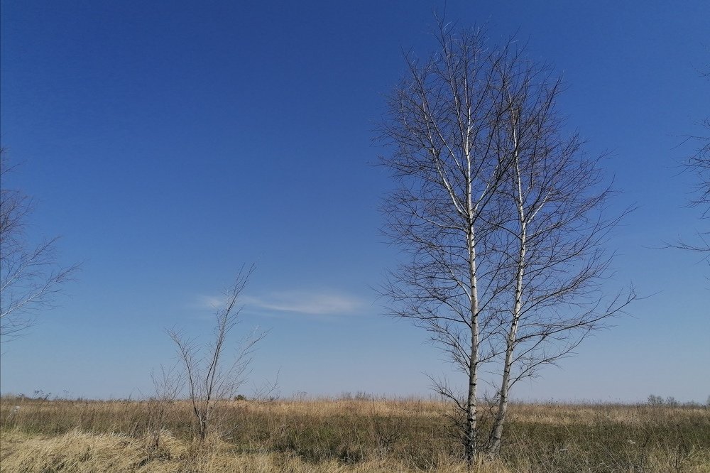 Photograph by Оксана Артемьева