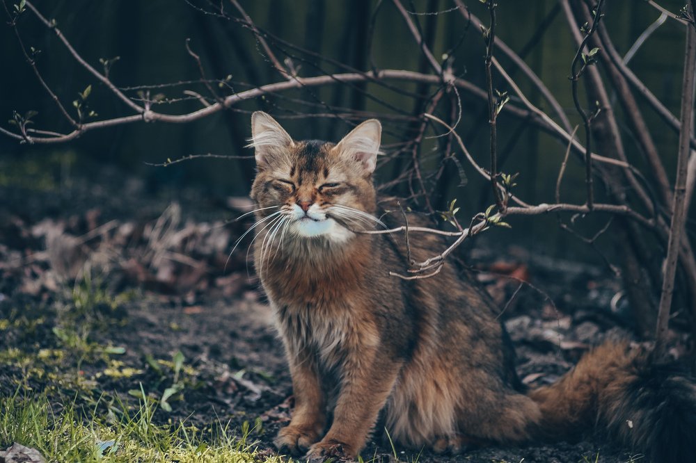 Photograph by Ольга Маркина