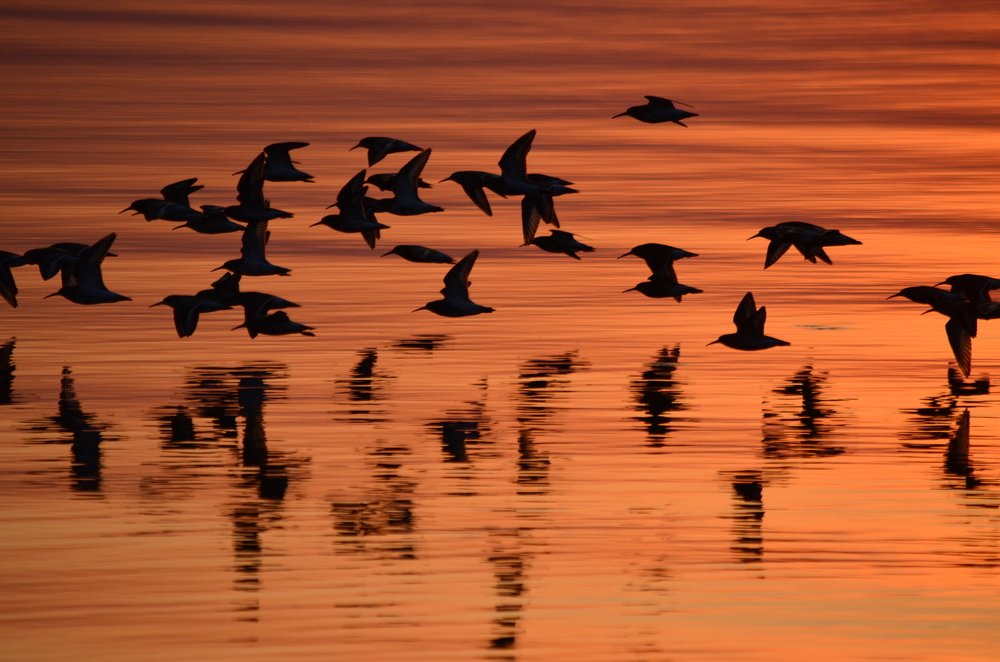 Photograph by Юрий Курынов