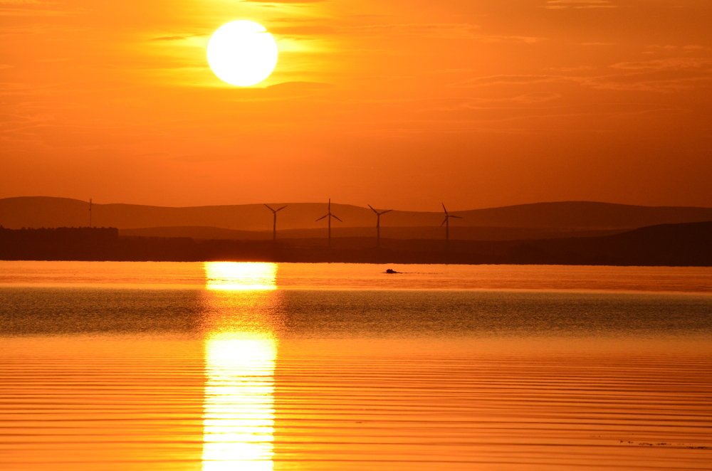 Photograph by Юрий Курынов