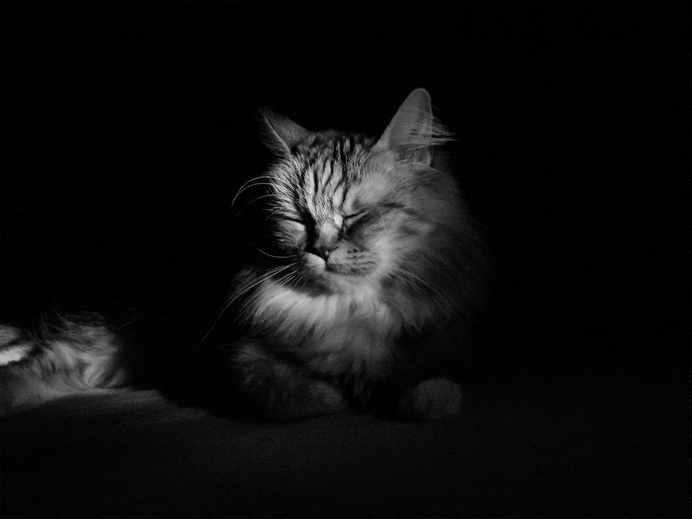 Photograph by Татьяна