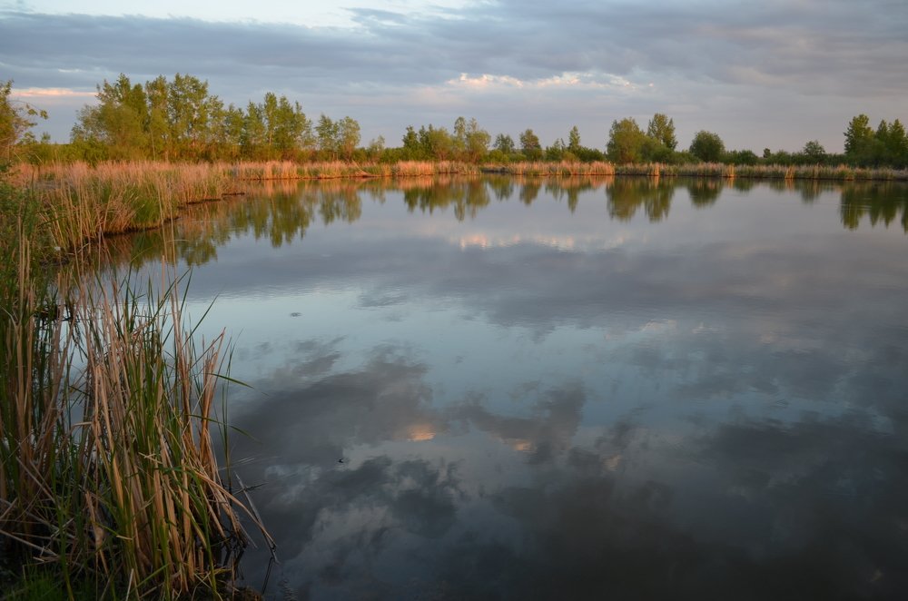 Photograph by Юрий Курынов