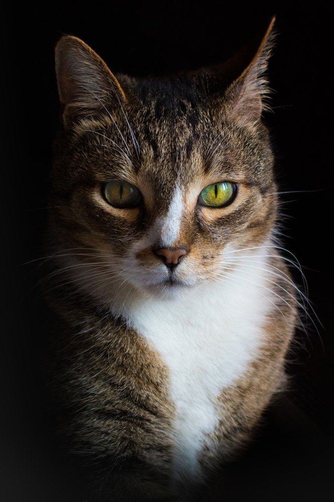 Photograph by Татьяна Юдина