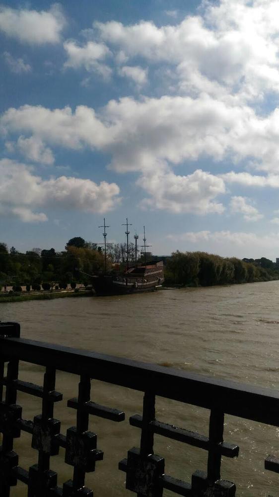 Photo #4579487