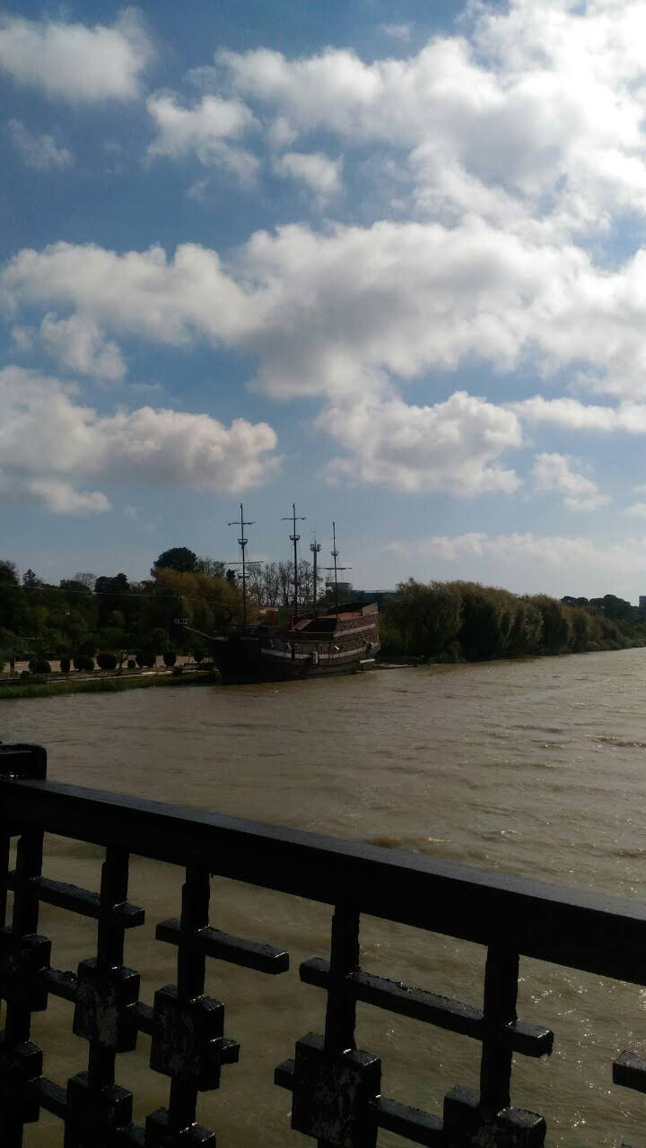 Photo #4579487