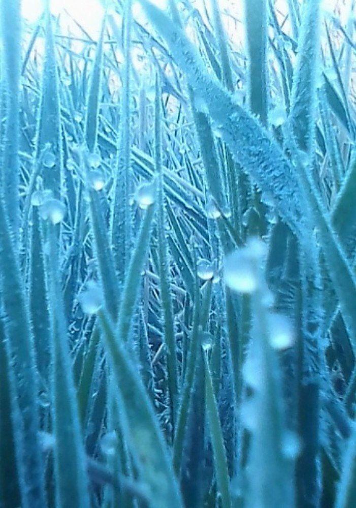 Photograph by Юлия Антонова