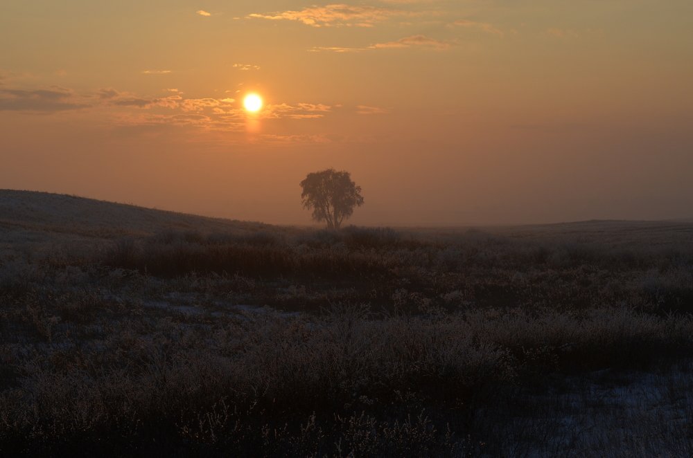 Photograph by Юрий Курынов