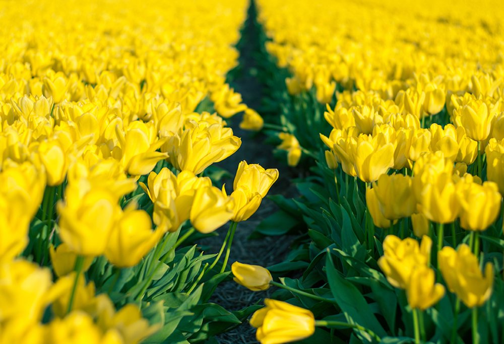 Photograph by Арсений